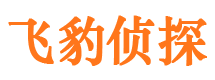 天峻寻人公司